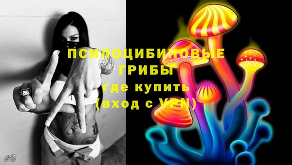 мет Касимов