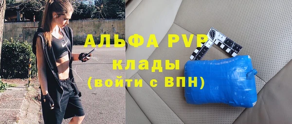apvp Каменногорск