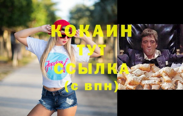 мет Касимов