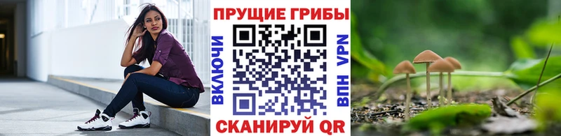 купить наркотики сайты Афипский Псилоцибиновые грибы мухоморы